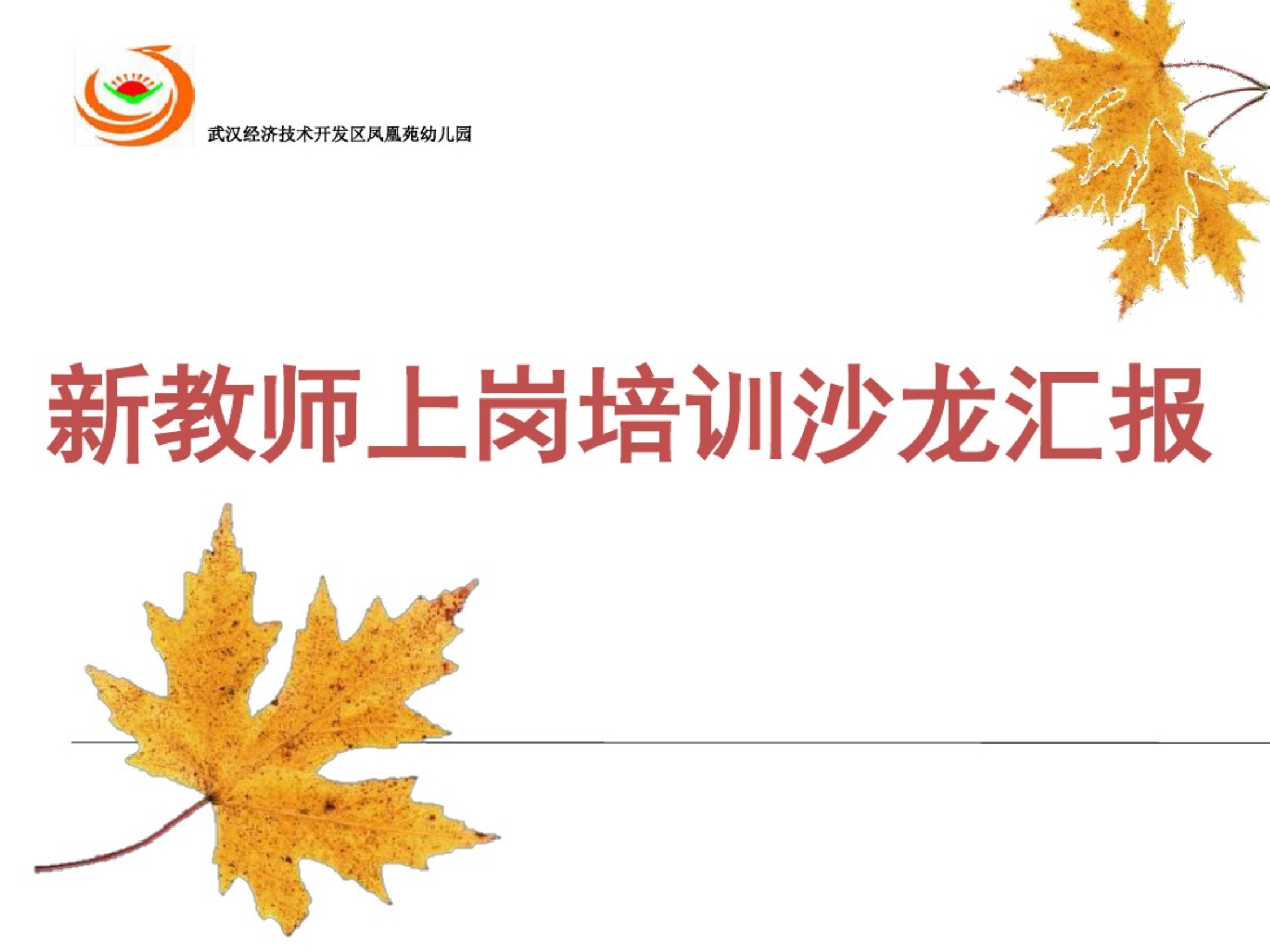 泰迪的故事PPT.pdf_第1页