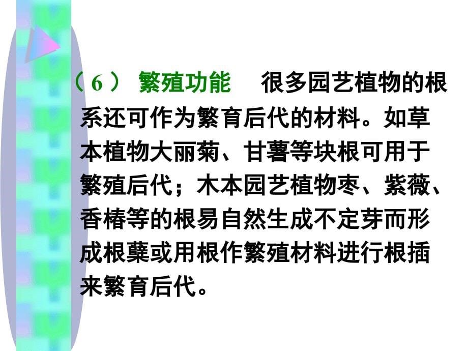 果树根系生理研究的应用备课讲稿_第5页