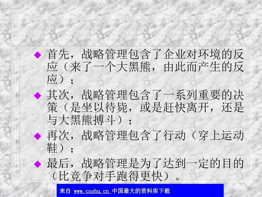 公司战略管理及经济分析_第5页