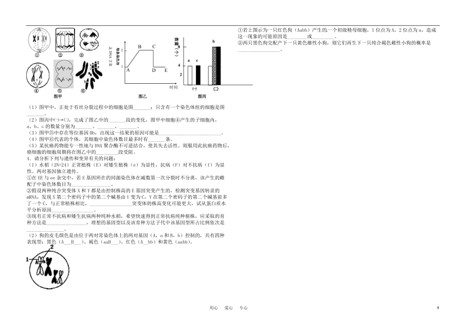 高中生物 第1 2章检测题 人教版必修2.doc_第4页