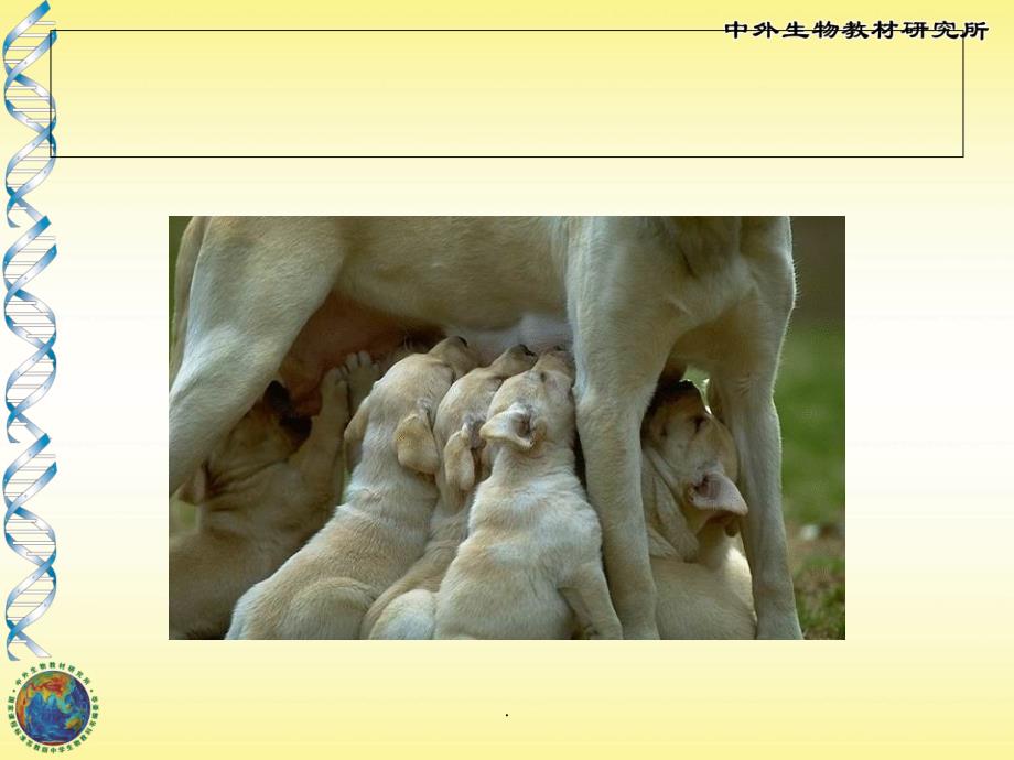 苏教版动物行为的生理基础ppt课件_第3页