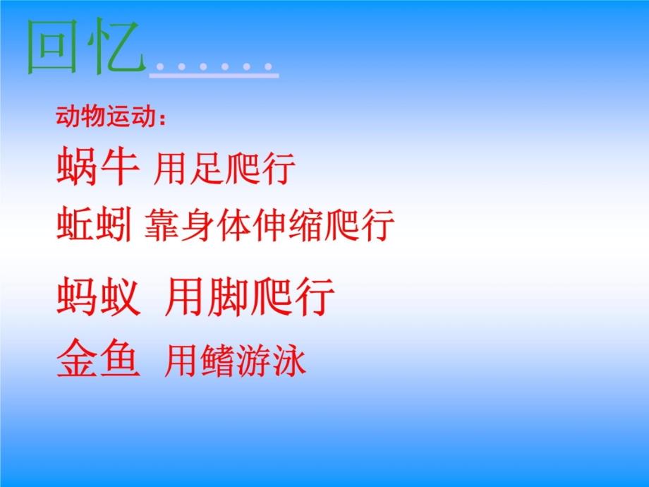 科学三年级上册《动物有哪些共同特点》复习课程_第3页