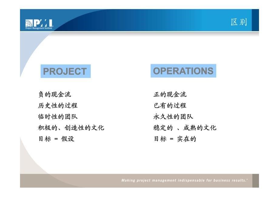 项目管理体系设计与建立_第5页