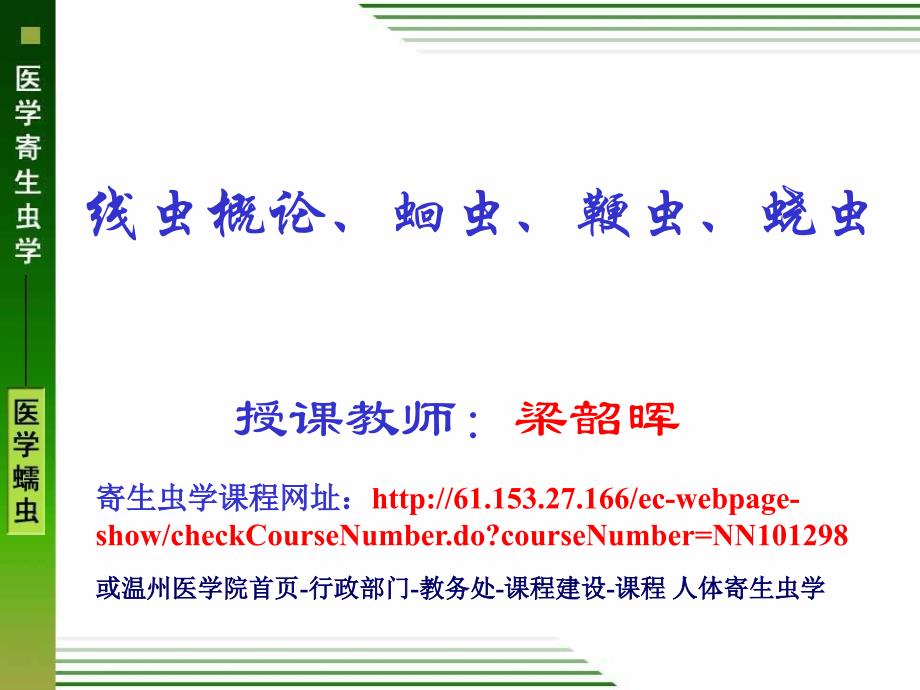 线虫概述、蛔虫、鞭虫、蛲虫PPT参考幻灯片_第1页