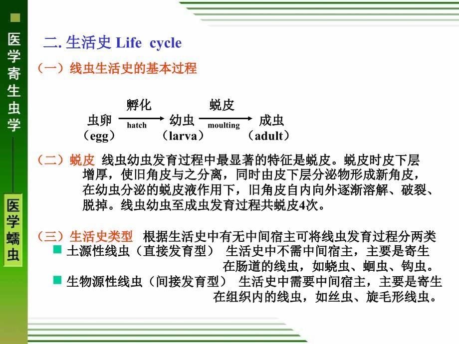 线虫概述、蛔虫、鞭虫、蛲虫PPT参考幻灯片_第5页