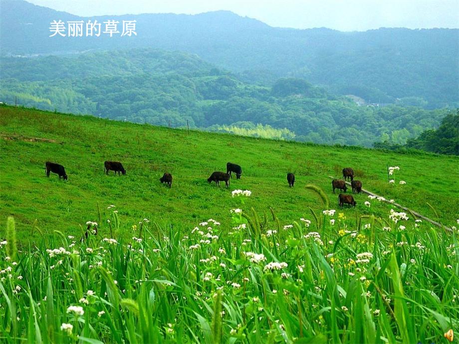 教科版科学五上《维护生态平衡》课件1复习课程_第4页