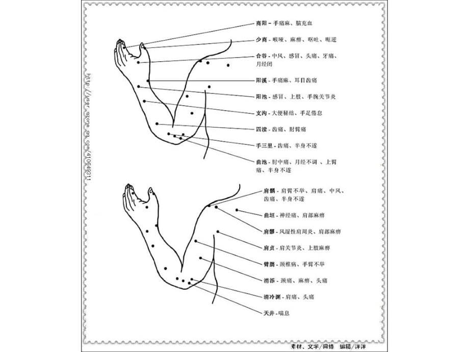 经络穴位治疗详解图教程文件_第5页