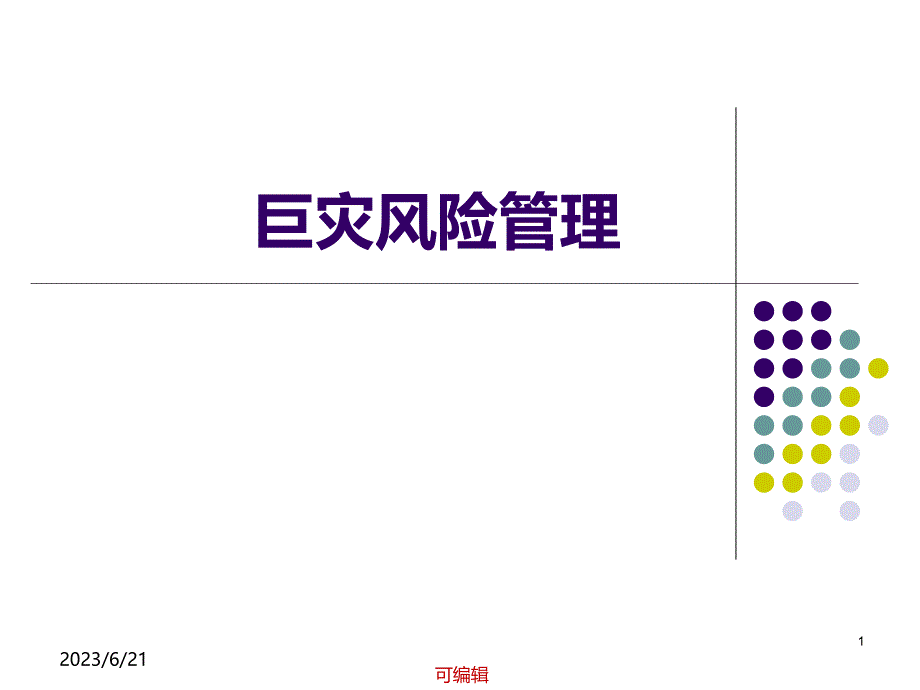 巨灾风险管理PPT课件.ppt_第1页