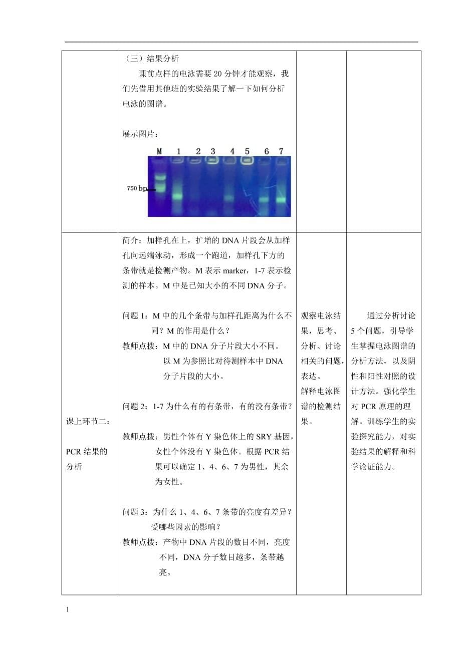 李传海-PCR结果分析及应用教学设计电子教案_第5页