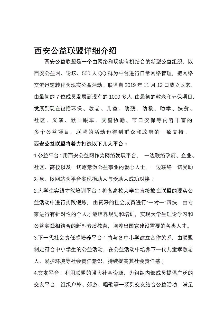 公益组织战略规划书-文档_第1页