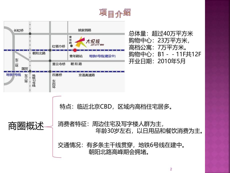 朝阳大悦城市调报告PPT课件.ppt_第2页