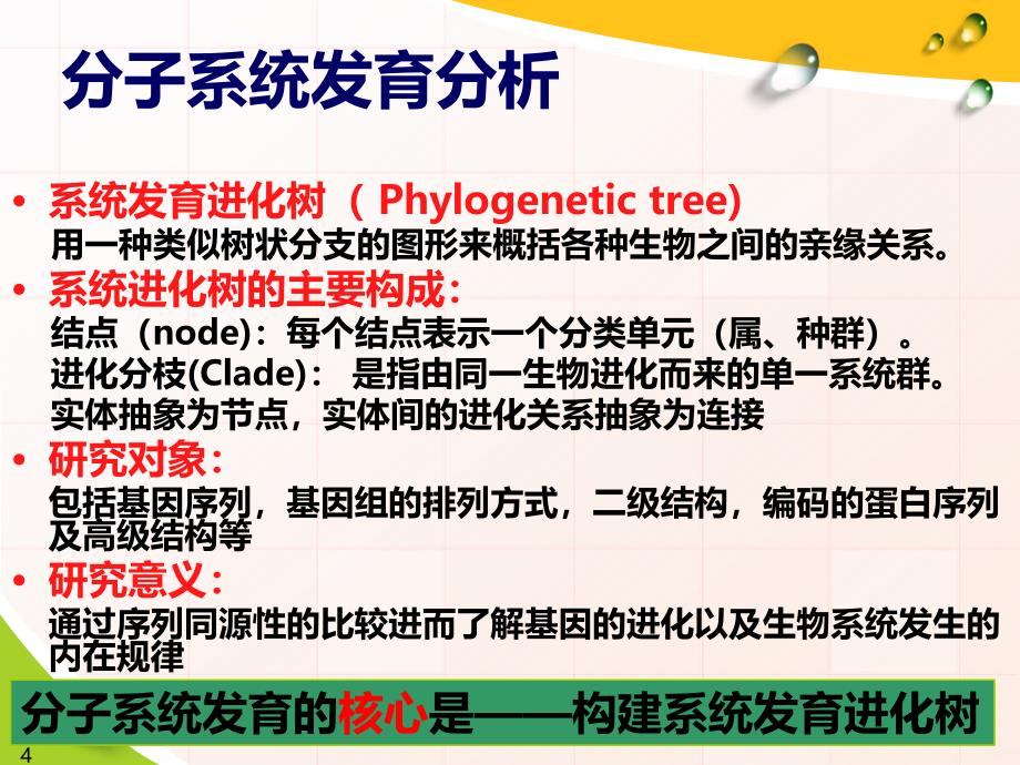 浅谈系统发育分析及进化树制作PPT课件.ppt_第4页