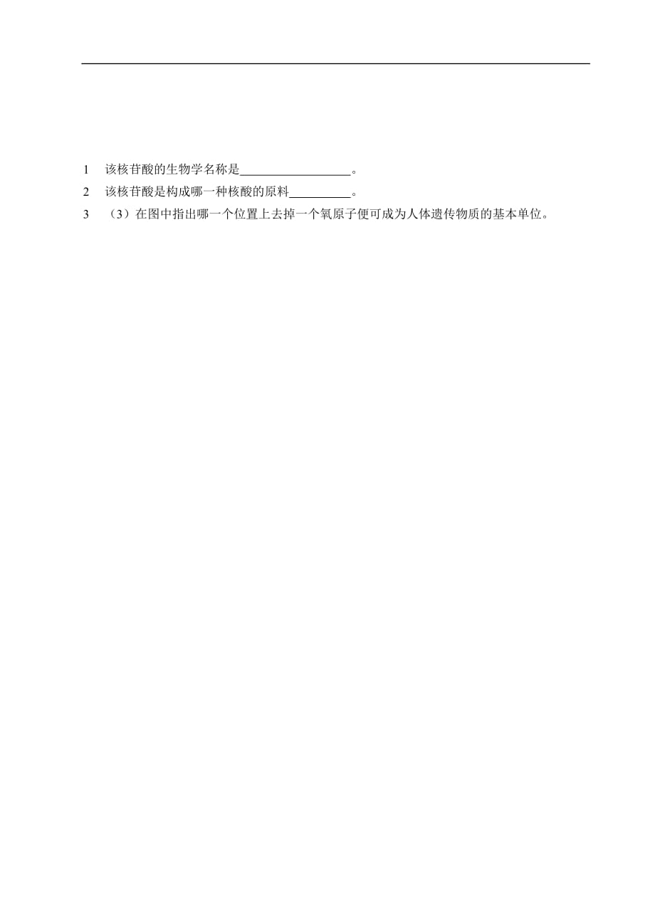 核酸学案教案.doc_第3页