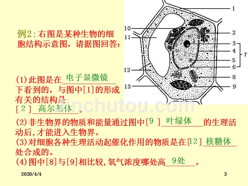 高中生物综合考试典型试题举例PPT课件.ppt_第3页