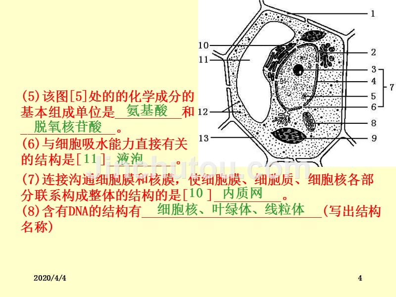 高中生物综合考试典型试题举例PPT课件.ppt_第4页