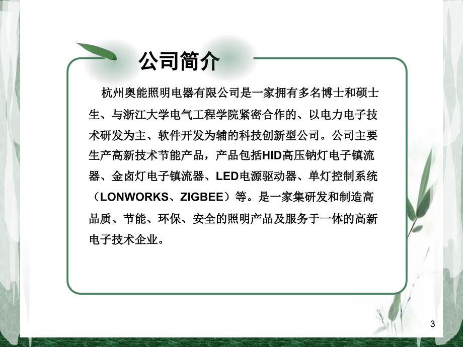 杭州奥能照明电器有限公司PPT课件.ppt_第3页