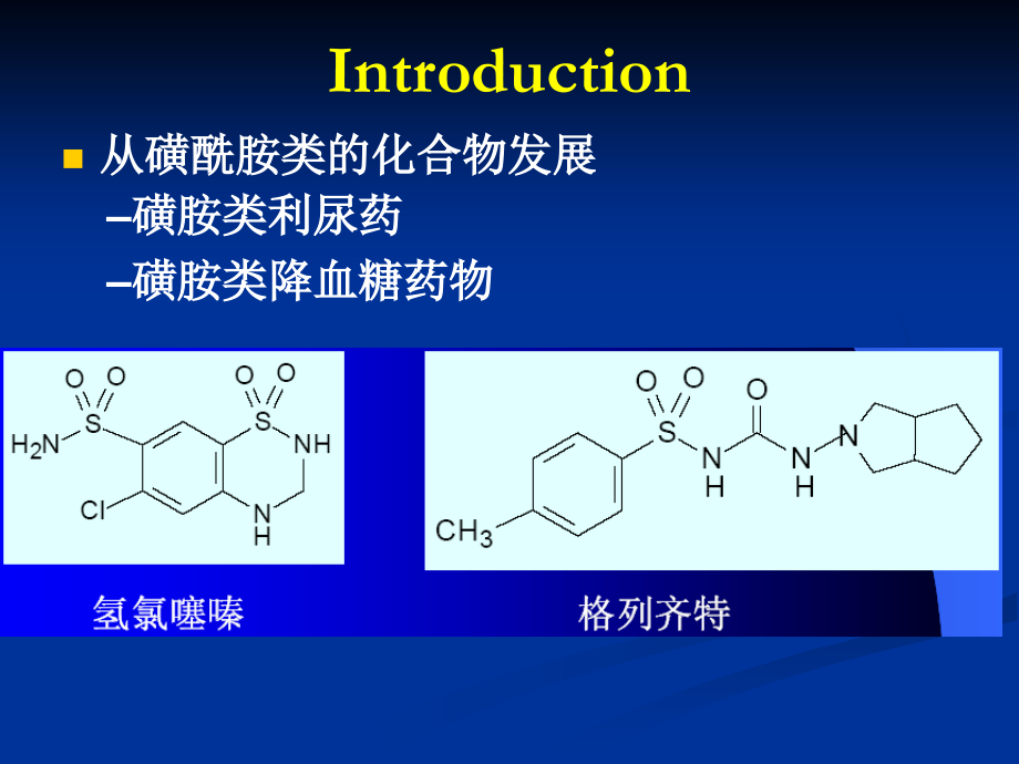 利尿药和口服降血糖药物知识PPT课件_第2页