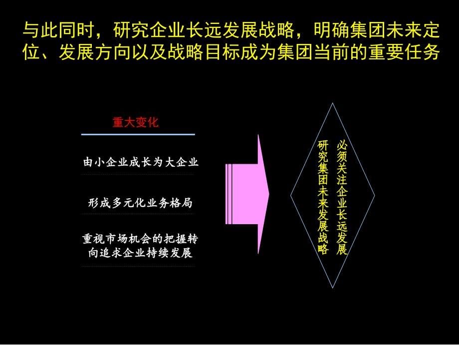 麦肯锡XX实业集团管理诊断报告讲课教案_第5页