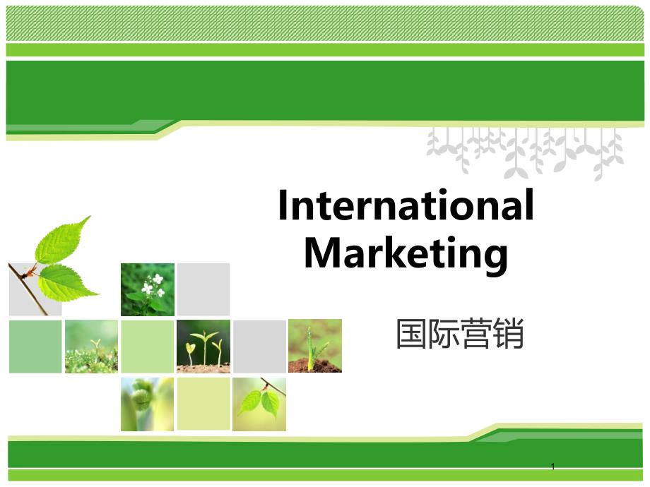国际市场营销PPT课件.ppt_第1页