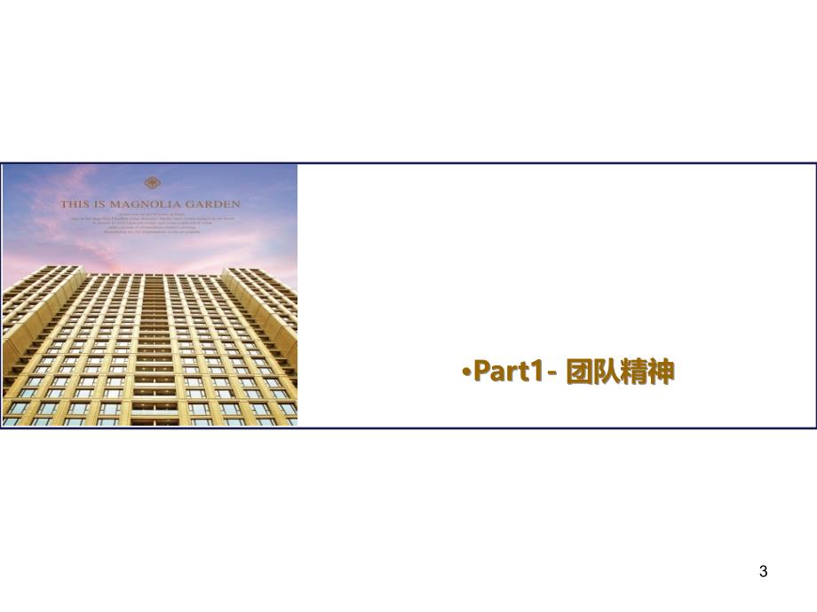 平台营销PPT课件.ppt_第3页