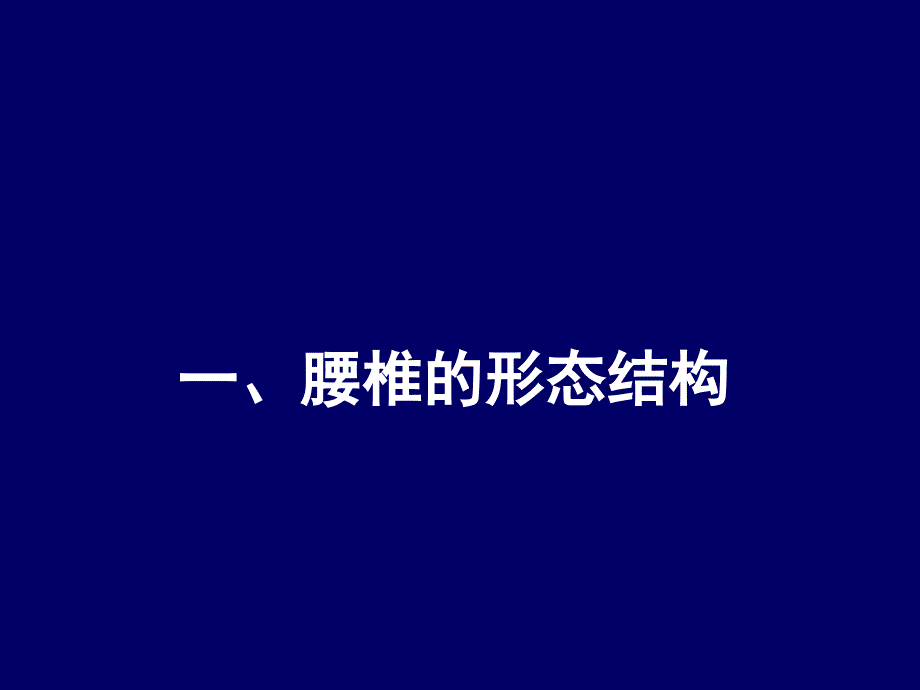 脊柱腰段解剖讲解学习_第2页