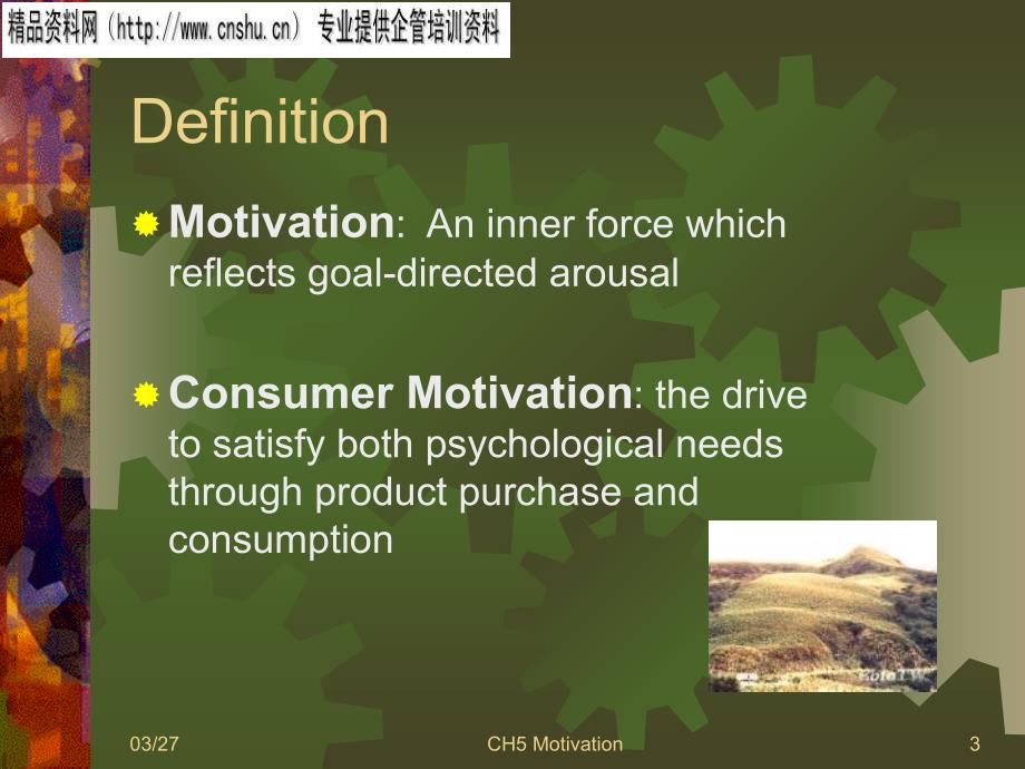 Consumer Motivation（英文版）_第3页