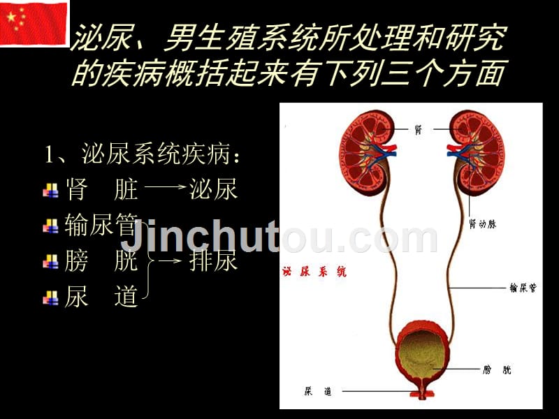 泌尿、男生殖系统外科检查和诊断知识PPT课件_第3页