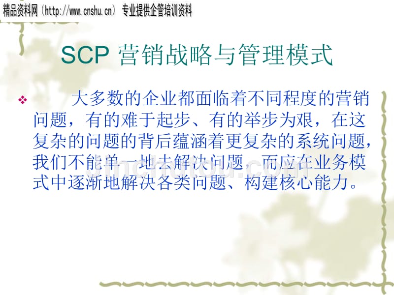 SCP 营销战略与管理模式分析_第2页