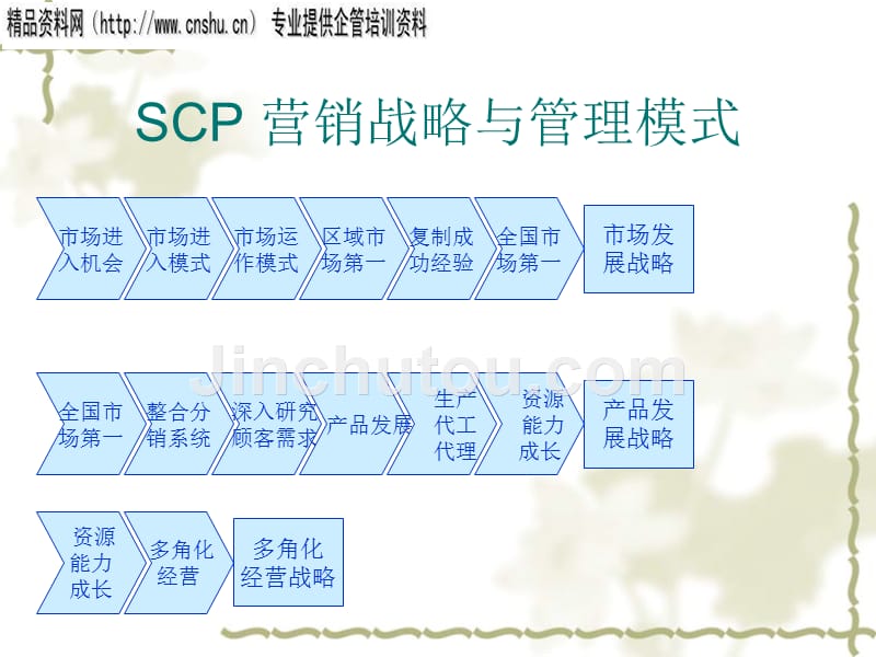 SCP 营销战略与管理模式分析_第5页