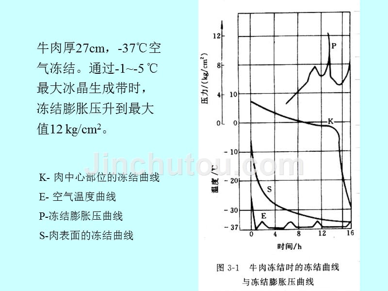 食品的冻结_第5页