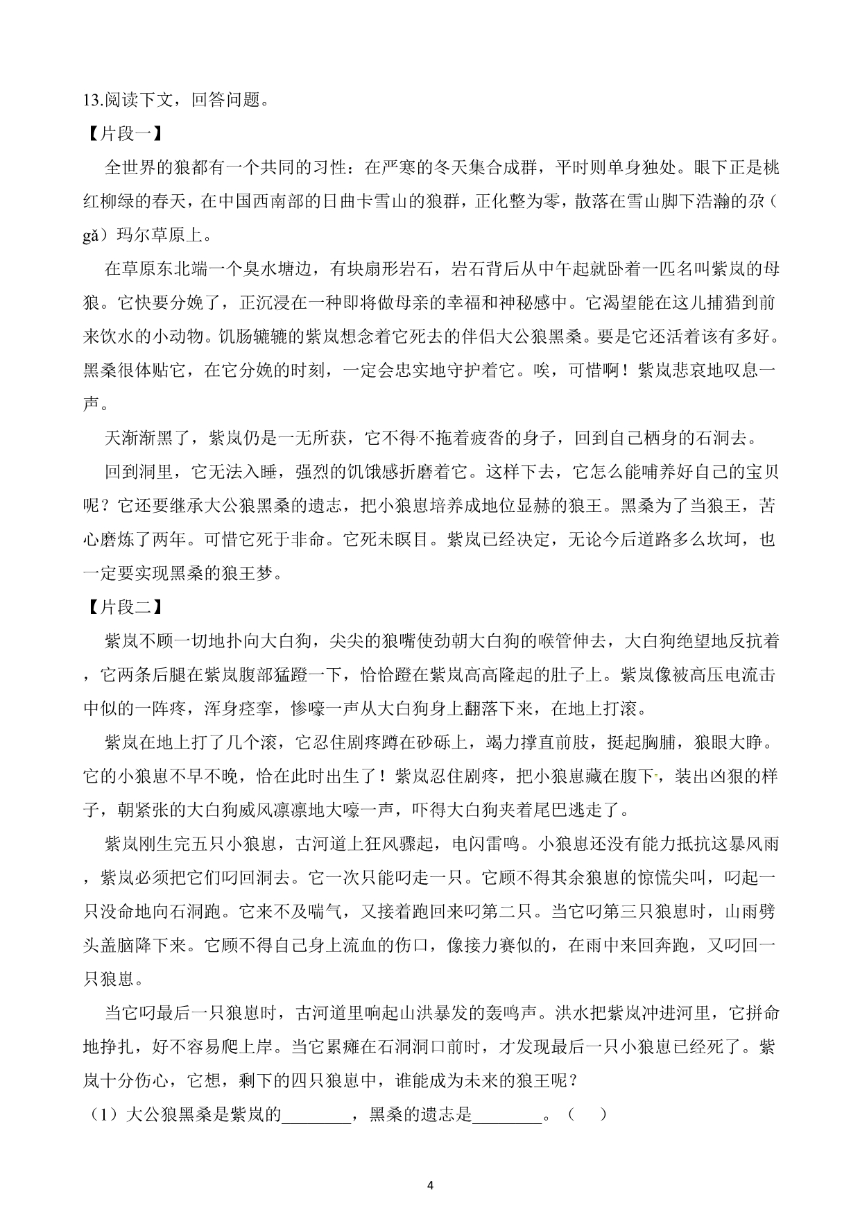 浙江省201-2020年度小升初语文小考检测模拟卷（含答案） (1)_第4页