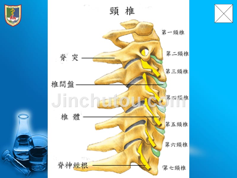 颈椎病康复PPT完整版本.ppt_第4页