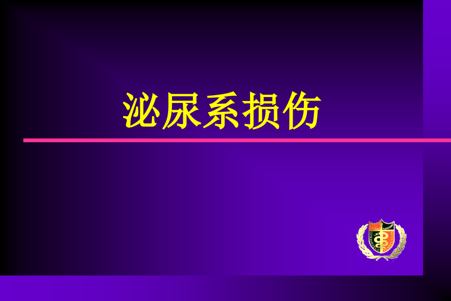 泌尿系损伤知识PPT课件_第1页