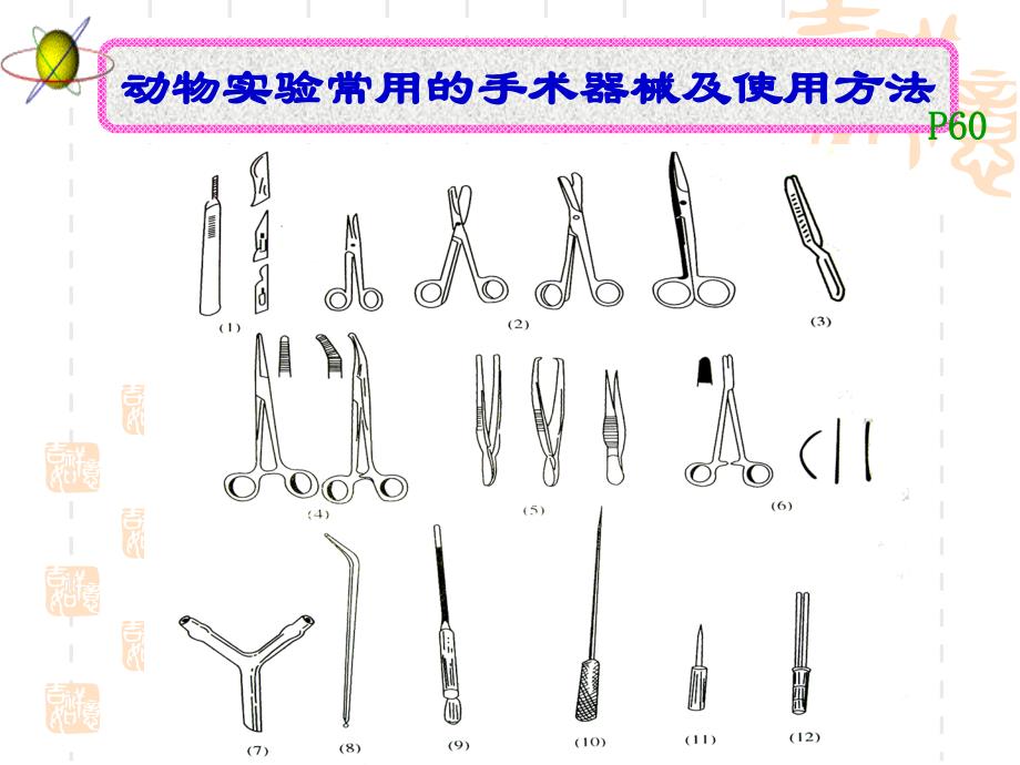 《机能实验学》手术操作(专科)_第3页