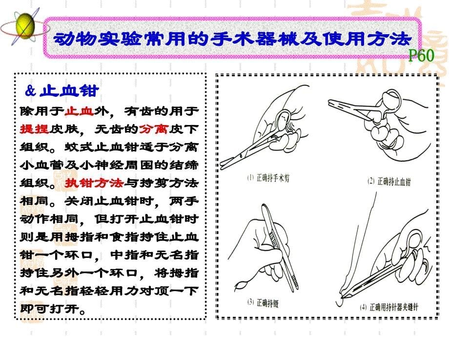 《机能实验学》手术操作(专科)_第5页