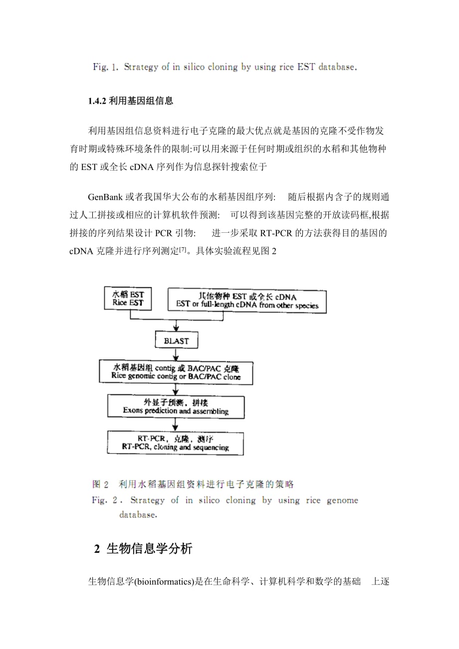 （生物科技行业）功能基因的克隆及生物信息学分析_第4页