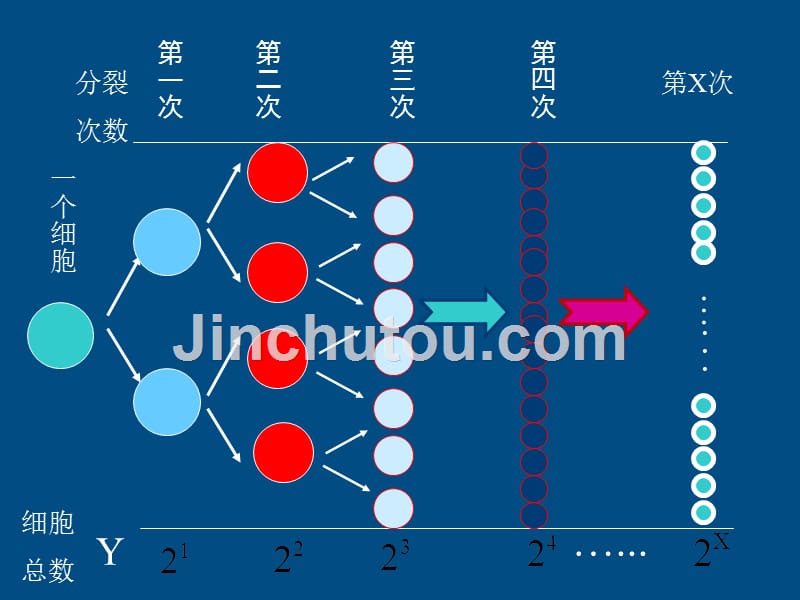 高中数学教师竞赛作品《指数函数》课件苏教必修.ppt_第3页