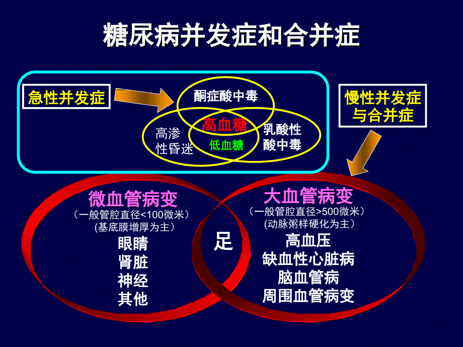 糖尿病急性并发症的抢救知识PPT课件_第2页