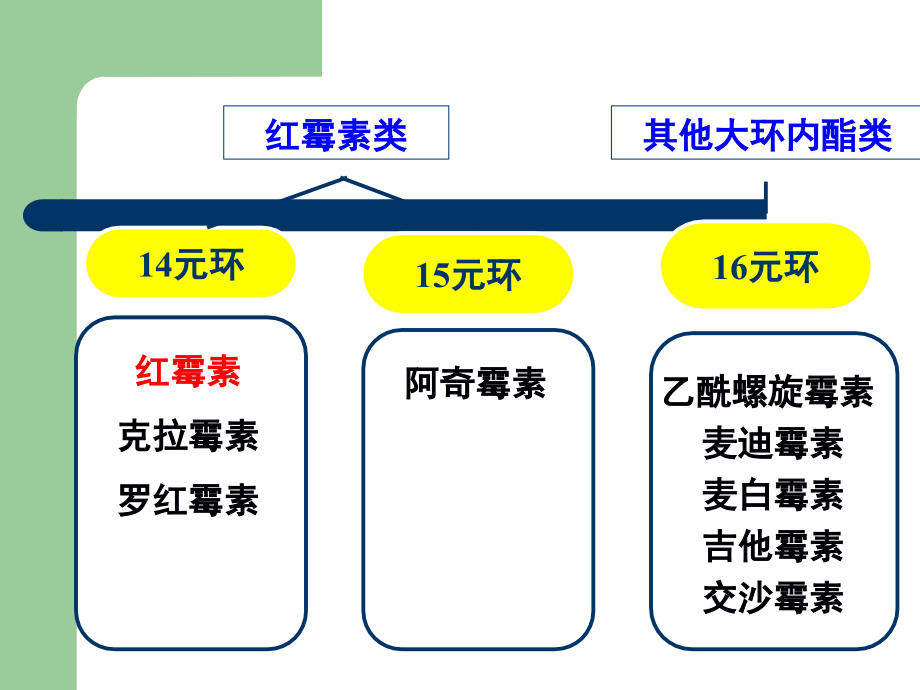 大环内酯类抗生素 课件.ppt_第3页