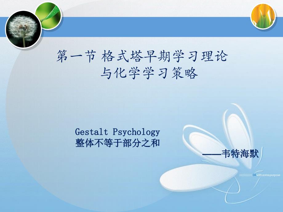 化学学习论-第二讲 格式塔心理学与化学学习.ppt_第2页