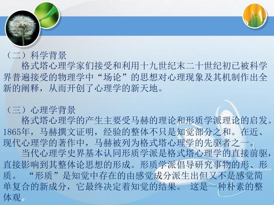 化学学习论-第二讲 格式塔心理学与化学学习.ppt_第5页