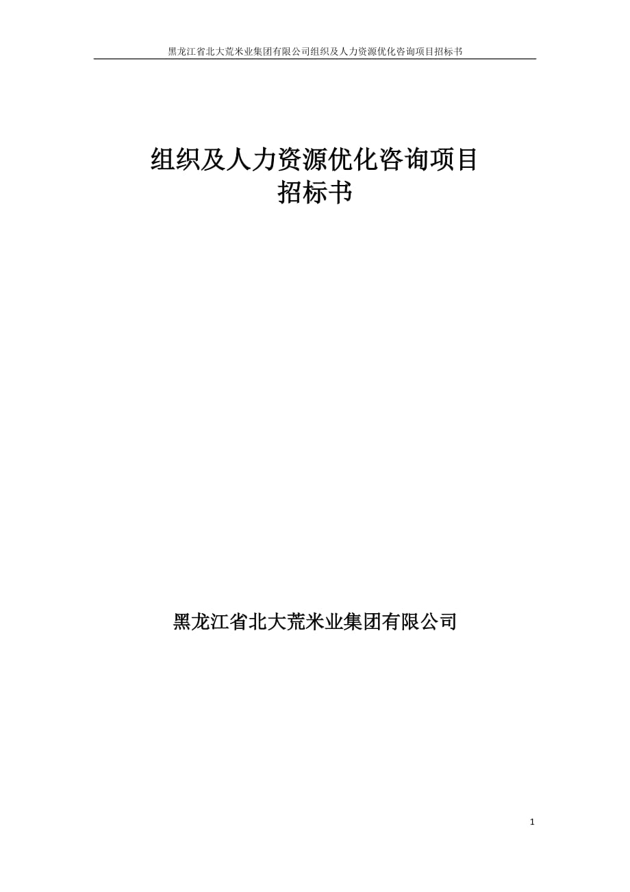 （项目管理）组织及人力资源优化咨询项目_第1页