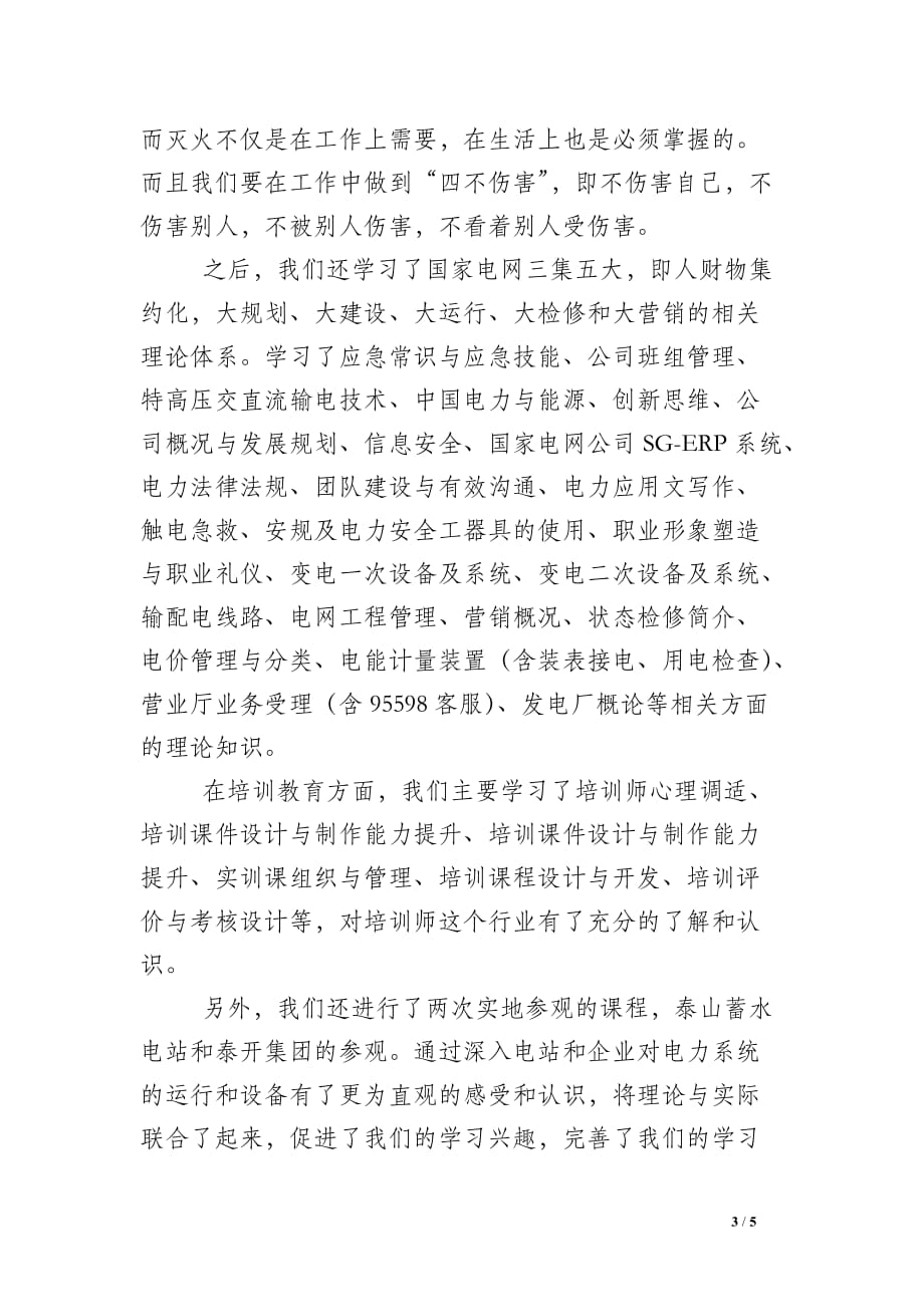 关于国网个人总结参考_第3页