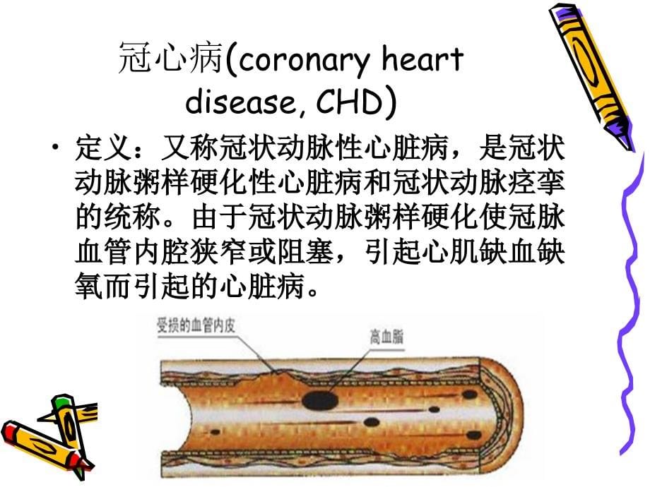 心血管疾病的营养治疗知识PPT课件_第5页