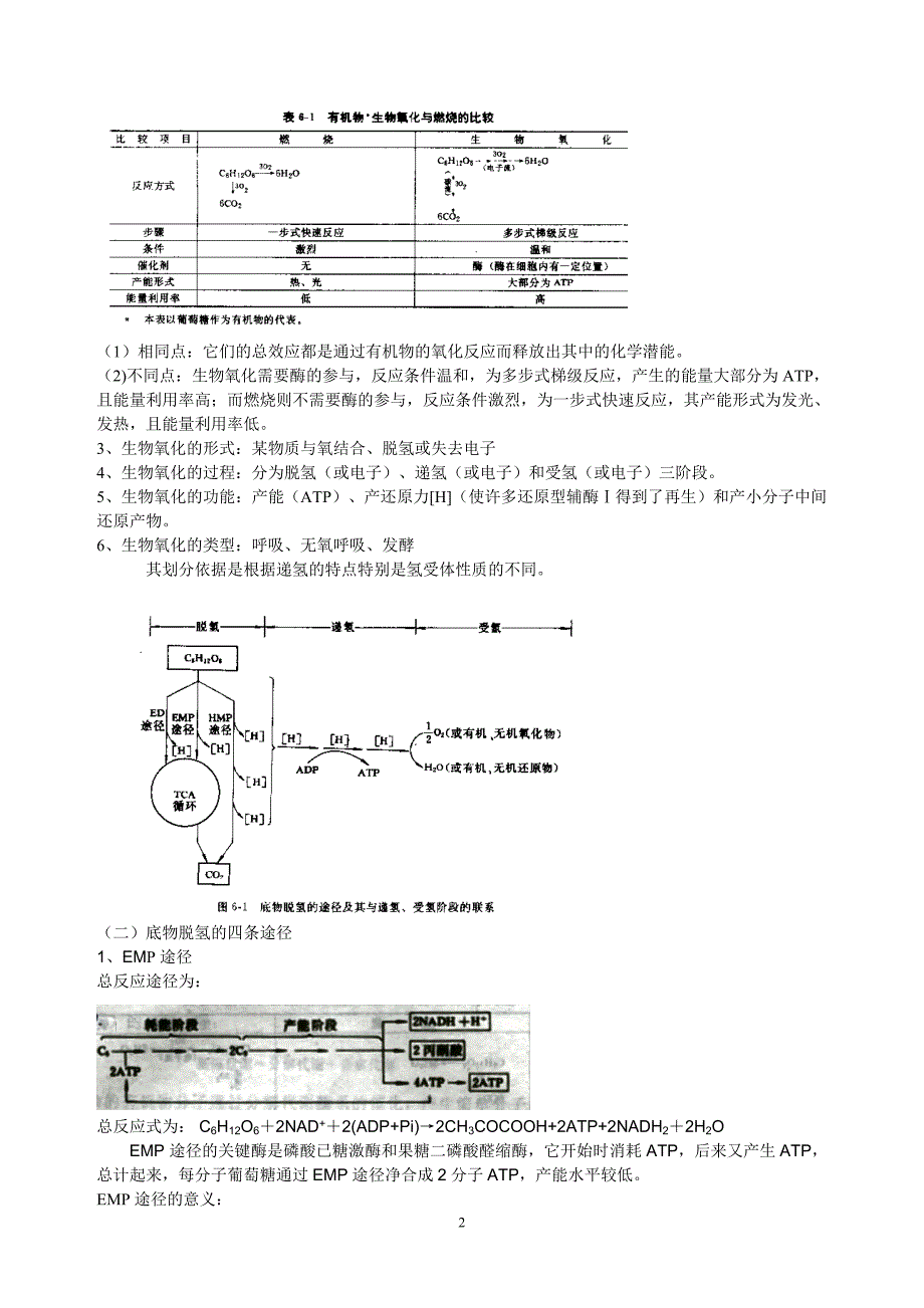 （生物科技行业）第五章微生物的新陈代谢_第2页