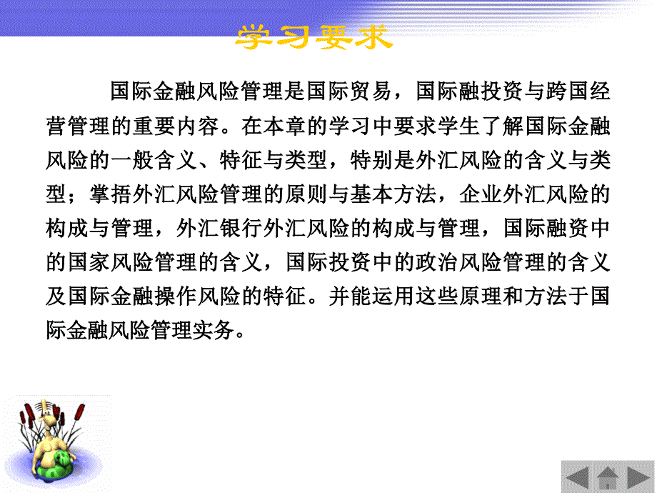 国际金融风险管理课程_第2页