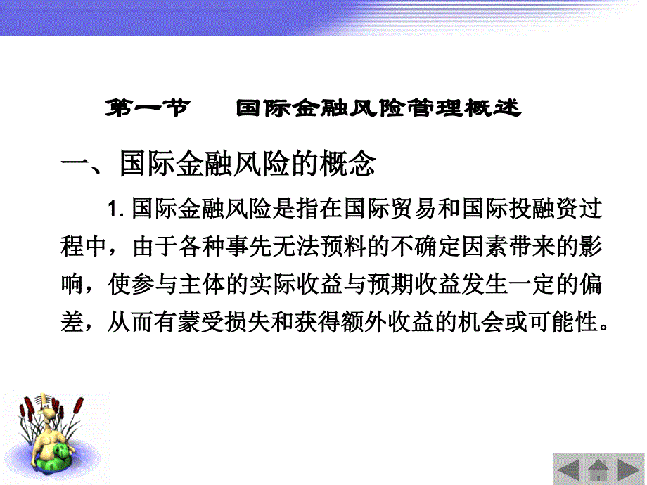 国际金融风险管理课程_第4页