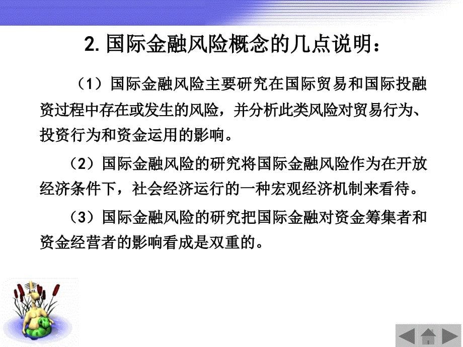 国际金融风险管理课程_第5页