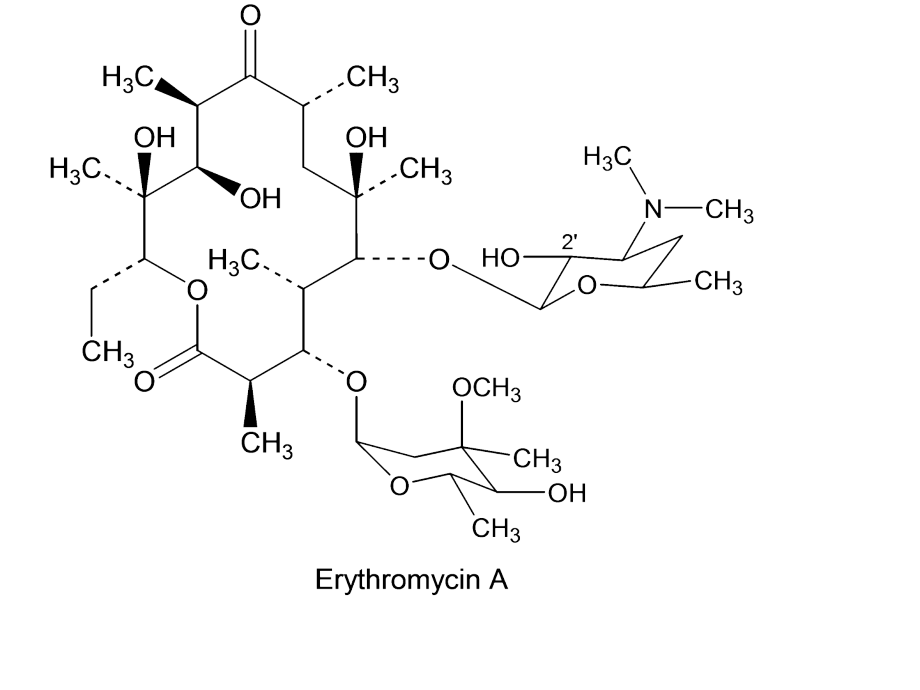 大环内酯类抗生素完整版本.ppt_第4页