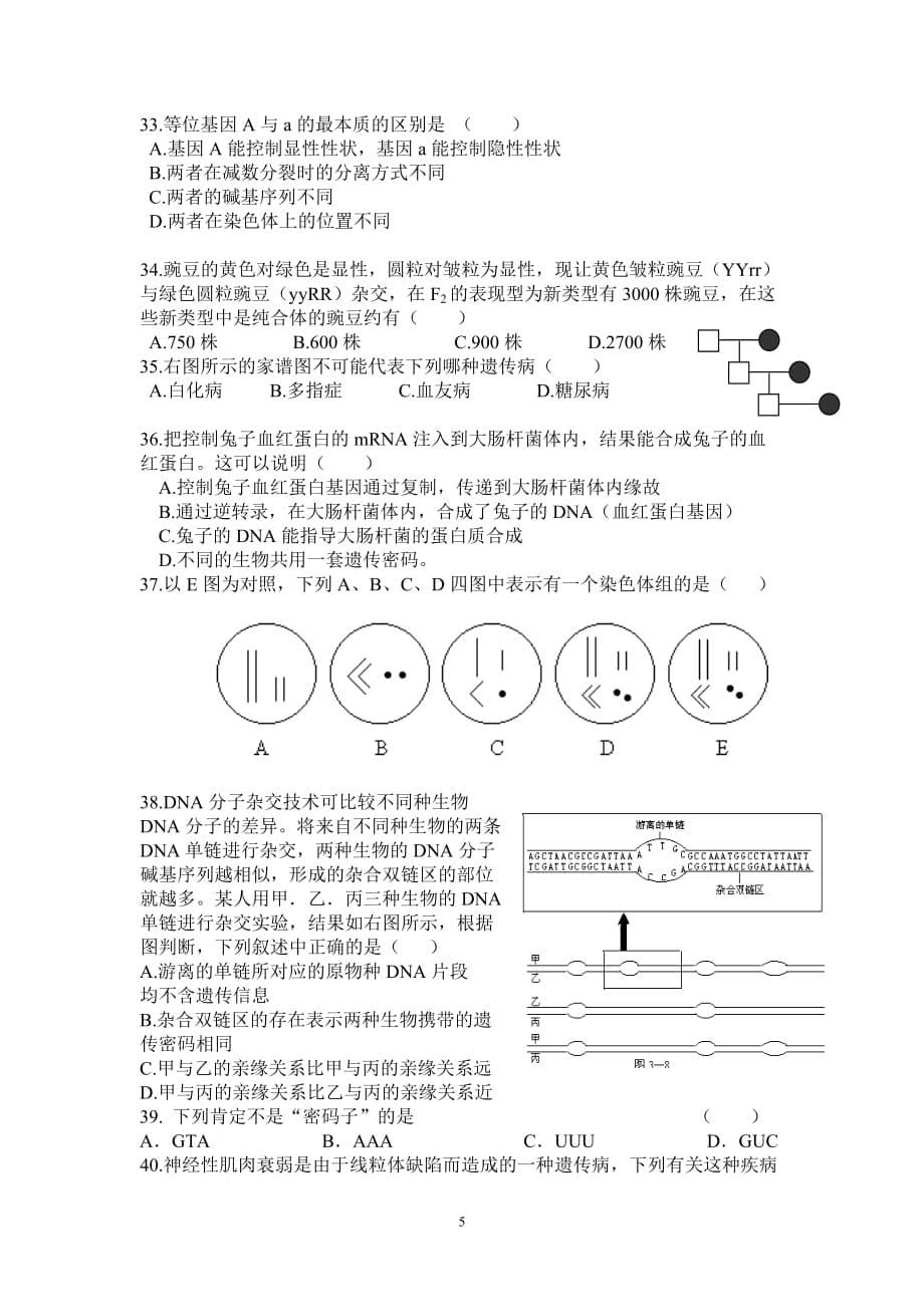 （生物科技行业）生物遗传与变异必修二(章)月考题答案见另一个文件_第5页